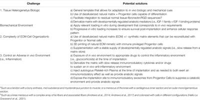 Perspective: Challenges Presented for Regeneration of Heterogeneous Musculoskeletal Tissues that Normally Develop in Unique Biomechanical Environments